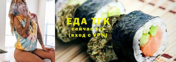 гашик Инта