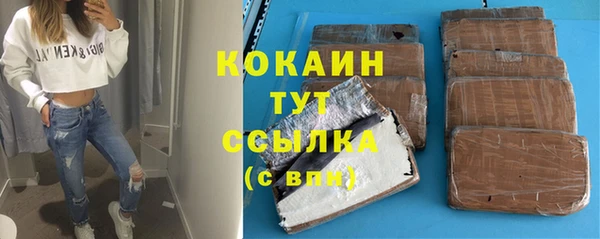 гашик Инта