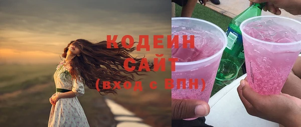 гашик Инта