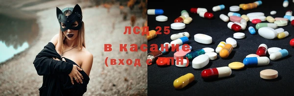 гашик Инта