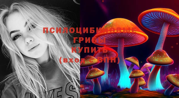 меф Инсар