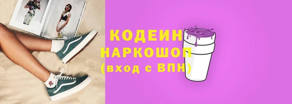 гашик Инта