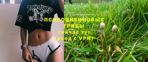 гашик Инта