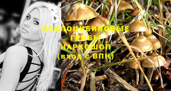 гашик Инта