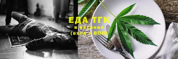 гашик Инта