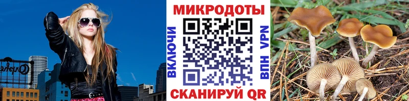 Купить закладки  Чегем  Галлюциногенные грибы мухоморы 